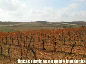 finca en venta 46 has. olivar tierra riego