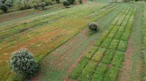 FINCA ECOLÓGICA