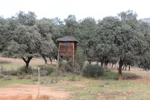 Finca de caza en Ciudad Real Ref. 1519