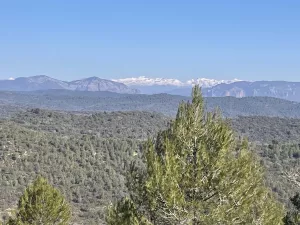 ¡Preciosa finca en la Carbonera!