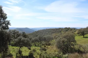 FINCA DE CAZA Y RECREO EN CORDOBA - 1487