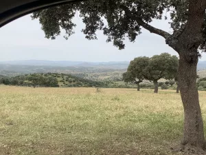 FINCA CINEGETICA EN JAEN - 1474