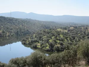 FINCA GANADERA EN TOLEDO