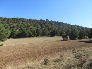 FINCA CINEGETICA EN GUADALAJARA - 1409