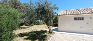 Finca agricola con casas reformadas