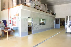 Bodega con viñedo en DO Priorat