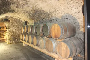 Finca con palacete, viñedo eco en Costa Brava
