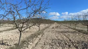 Finca de recreo de 300 Hectáreas
