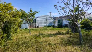 En venta finca ecuestre Costa de la Luz