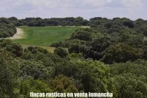 finca en venta 126 has. recreo caza en Cuenca