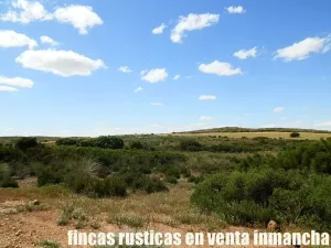 finca en venta 734 has. labor caza Caserío
