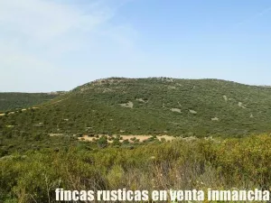 venta 570 has. caza mayor en Ciudad Real