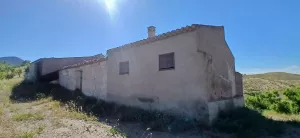 Almendro ecológico con 2 cortijos